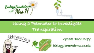 Using a Potometer to Investigate Transpiration with Exam Questions [upl. by Ike]