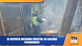 Se reporta incendio forestal en colonia Panorámica [upl. by Aimahs]