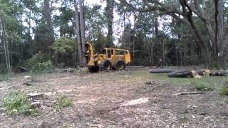 Tree Removal by Alpine Lumber using Feller Buncher [upl. by Nyroc450]