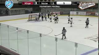 Wings vs Norsemen  Hometown Hockey Summer Classic A Championship [upl. by Abla298]