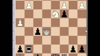 Boris Spassky Vs Bobby Fischer 1960  part two [upl. by Eppie]