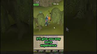 Forestry Tips for Woodcutting on OSRS [upl. by Hebbe]