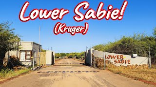 S1 – Ep 437 – Lower Sabie Rest Camp [upl. by Gayn]