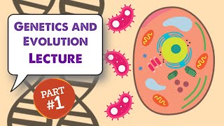 MCAT Biology Lecture Genetics and Evolution 12 [upl. by Viridi479]