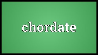 Chordate Meaning [upl. by Filberto]