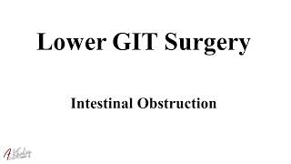 Intestinal Obstruction Surgery Complete Auditory Review by Pert Boo [upl. by Okiman862]