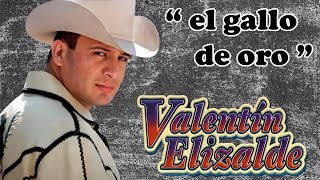 Valentin Elizalde Las 30 Exitos Corridos Con Banda  Emocionante Con El Gallo De Oro [upl. by Lesab614]