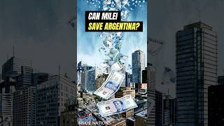 Can Milei Save Argentina milei argentina [upl. by Yecats418]