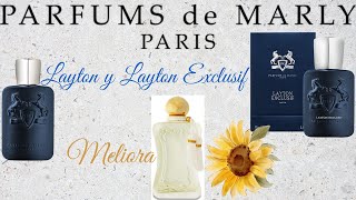 PARFUMS de MARLY LAYTON vs LAYTON EXCLUSIF y MELIORA ¡Compritas mañaneras [upl. by Ydnab159]