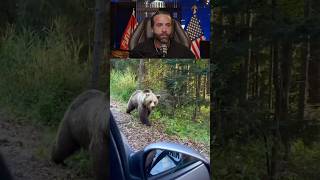 Man Tries to Feed a Grizzly BearInstantly Regrets It [upl. by Horvitz]