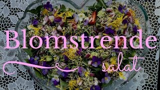 Blomstrende salat med spiselige blomster [upl. by Aimekahs]