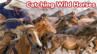 Gathering Feral Horses On the Navajo Nation [upl. by Lokin]