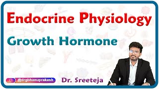 Growth Hormone  Endocrine Physiology USMLE Step 1 [upl. by Enilram]