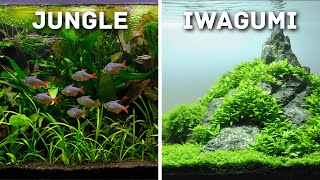 MustTry Aquascaping Styles for Your Planted Aquarium [upl. by Kammerer]