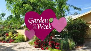 Garden of the Week  Jody Palmer  Fresno [upl. by Ardnekahs160]