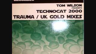 Tom Wilson  Technocat 2000 UK GOLD Remix [upl. by Sherurd958]