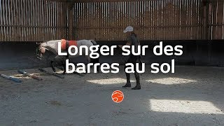 Longer son cheval sur des barres au sol  Equisense [upl. by Ecnal294]