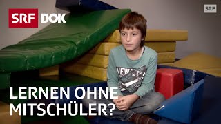 Homeschooling – Lernen ohne Schule 28  Freilerner und ihre Sozialisation  Doku  SRF Dok [upl. by Howes603]