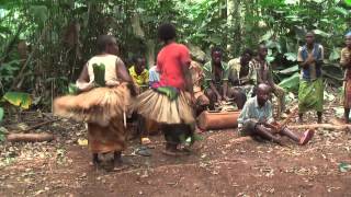 Traditional Baka womens dance East region Cameroon [upl. by Nomelif]