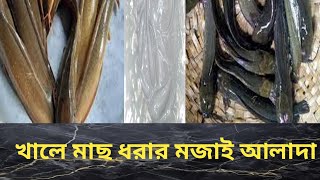 খালে মাছ ধরার মজাই আলাদা [upl. by Lewak]