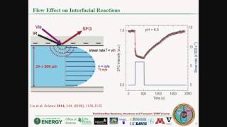 Surface Reaction Solvent Inhomogeneity and Ion Transport in Electric Double Layers [upl. by Revned546]