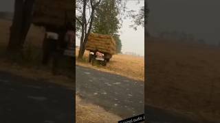 tractor video ki 2024 gurayajot2 shorts youtubeshorts hit farmer [upl. by Manas633]