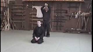 Jon F Merz Bujinkan Budo Taijutsu  Ninjutsu Godan Test  February 16 2003 [upl. by Gaivn]