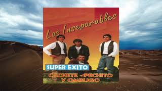 Los Inseparables  Super Éxito Cachete Pechito y Ombligo Álbum Completo [upl. by Ahsyad]