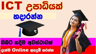 තොරතුරු තාක්ෂණ උපාධියක් 2024  BIT Degree program 2024  degree program 2024 [upl. by Eive]