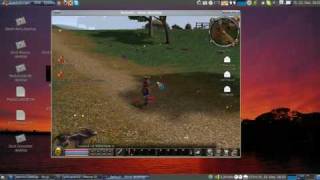 Ubuntu Metin 2 Gameplay [upl. by Leid532]