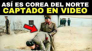 20 videos prohibidos filtrados de Corea del Norte [upl. by Dewhurst73]