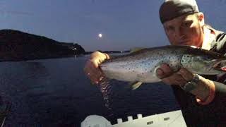 Dokumentar  Drømmefiske på Mjøsa etter Mjøsørret  Storørret Big Trout  Norwegian HighRes [upl. by Nosrak]