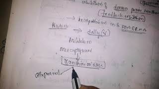 Purine antagonistsmercaptopurine and thioguaning [upl. by Najib]