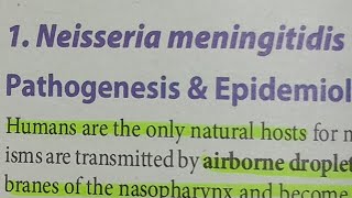 Nesseria Meningitidis  MICROBIOLOGY [upl. by Siramaj]