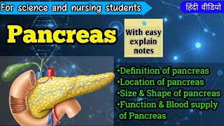 Pancreas anatomy amp physiology in Hindi  Location SizeampShape functionampBlood supply of Pancreas [upl. by Taffy]