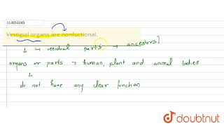 Vestigial organs are nonfuctional  CLASS 10  HEREDITY AND EVOLUTION  BIOLOGY  Doubtnut [upl. by Tybalt156]