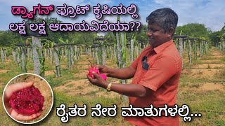 Dragon fruit farming  Is it really Profitable  Genuine opinions of a farmer  Madhugiri [upl. by Pratt212]