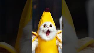 Tom sings change cat to a yellow banana meow [upl. by Heintz]