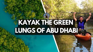 Why you should kayak the Abu Dhabi Mangroves  United Arab Emirates [upl. by Assiroc]