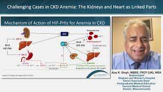 Targeting the Pathophysiology of CKDrelated Anemia [upl. by Rosemare377]