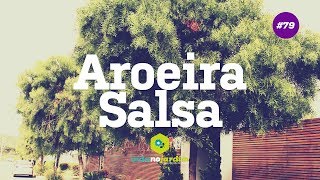 Árvore para calçada  Aroeira Salsa [upl. by Oretos993]