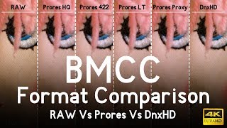 Blackmagic Cinema Camera Format Comparison [upl. by Eeraj]