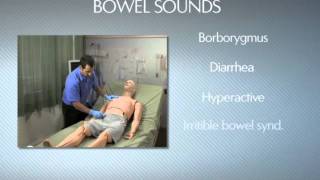 HAL® S3201  Part 9  Bowel sounds [upl. by Andromede]