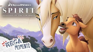 Spirit Is Born 🍼  Spirit Stallion of the Cimarron Here I Am Full Song  Movie  Mega Moments [upl. by Enahsal]