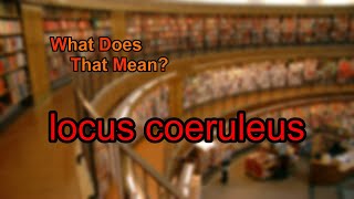 What does locus coeruleus mean [upl. by Kacie734]