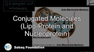 Conjugated Molecules LipoProtein and Nucleoprotein Biology Lecture  Sabaqpk [upl. by Struve]