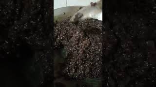 Black Gkutinous Rice Biko using Muscovado Sugar yummyhealthyfood [upl. by Brina]