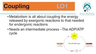 Metabolism module Session 1 Lecture 1\ By KMSA [upl. by Yasdnyl]