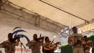 MARIACHI LOS PALMEROS DE QUERETARO [upl. by Capon]