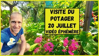 Visite du potager  20 juillet 2021 [upl. by Bartle]